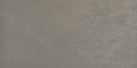 Керамический гранит Betonhome серый (60х120) (1,44) купить