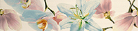Бордюр БЕЛЛА цветы 1503-0042 (9х39,8) * купить