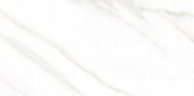 Керамический гранит Marmori Калакатта белый полир. K947021FLPR (60х120) купить